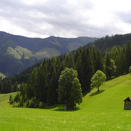 Kirchenbichlerhof Villa Pruggern Exteriör bild
