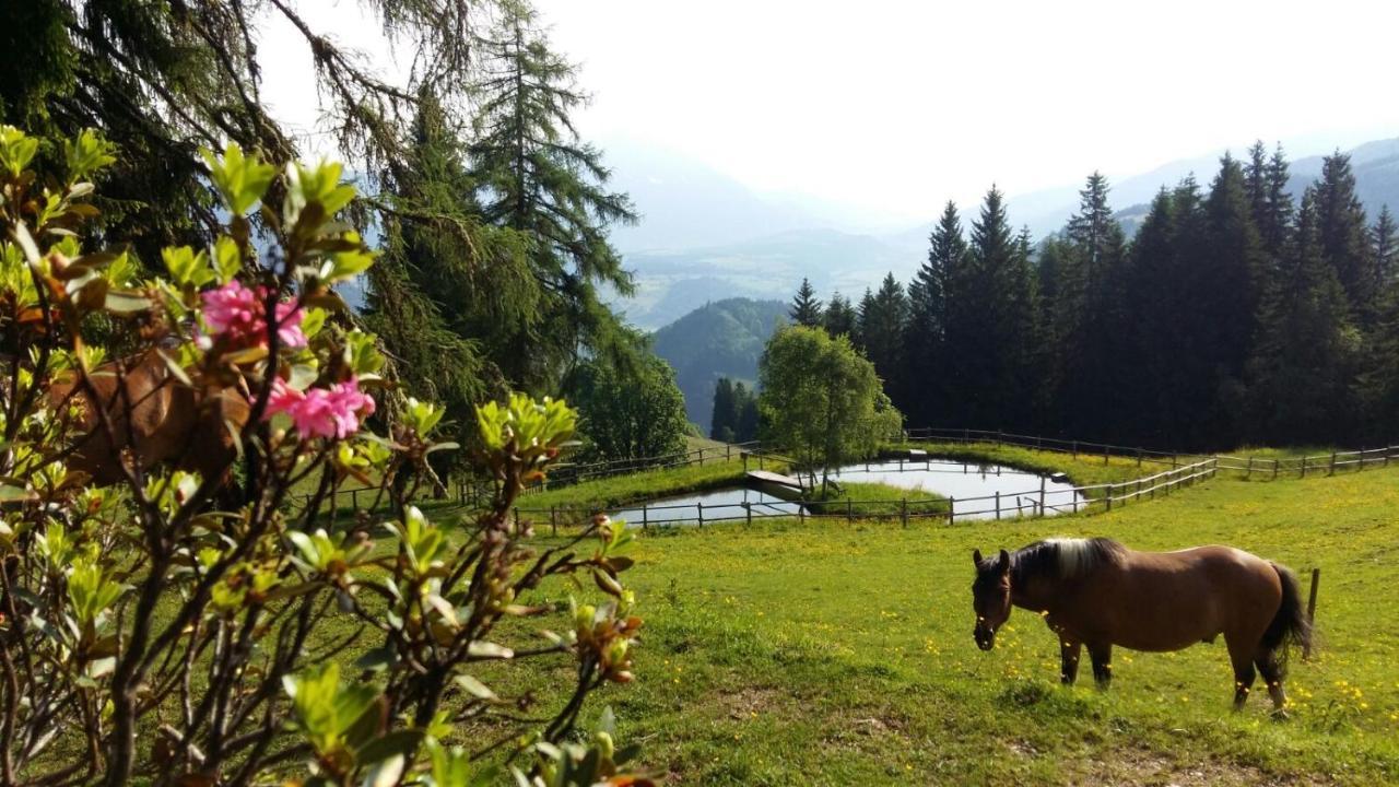 Kirchenbichlerhof Villa Pruggern Exteriör bild
