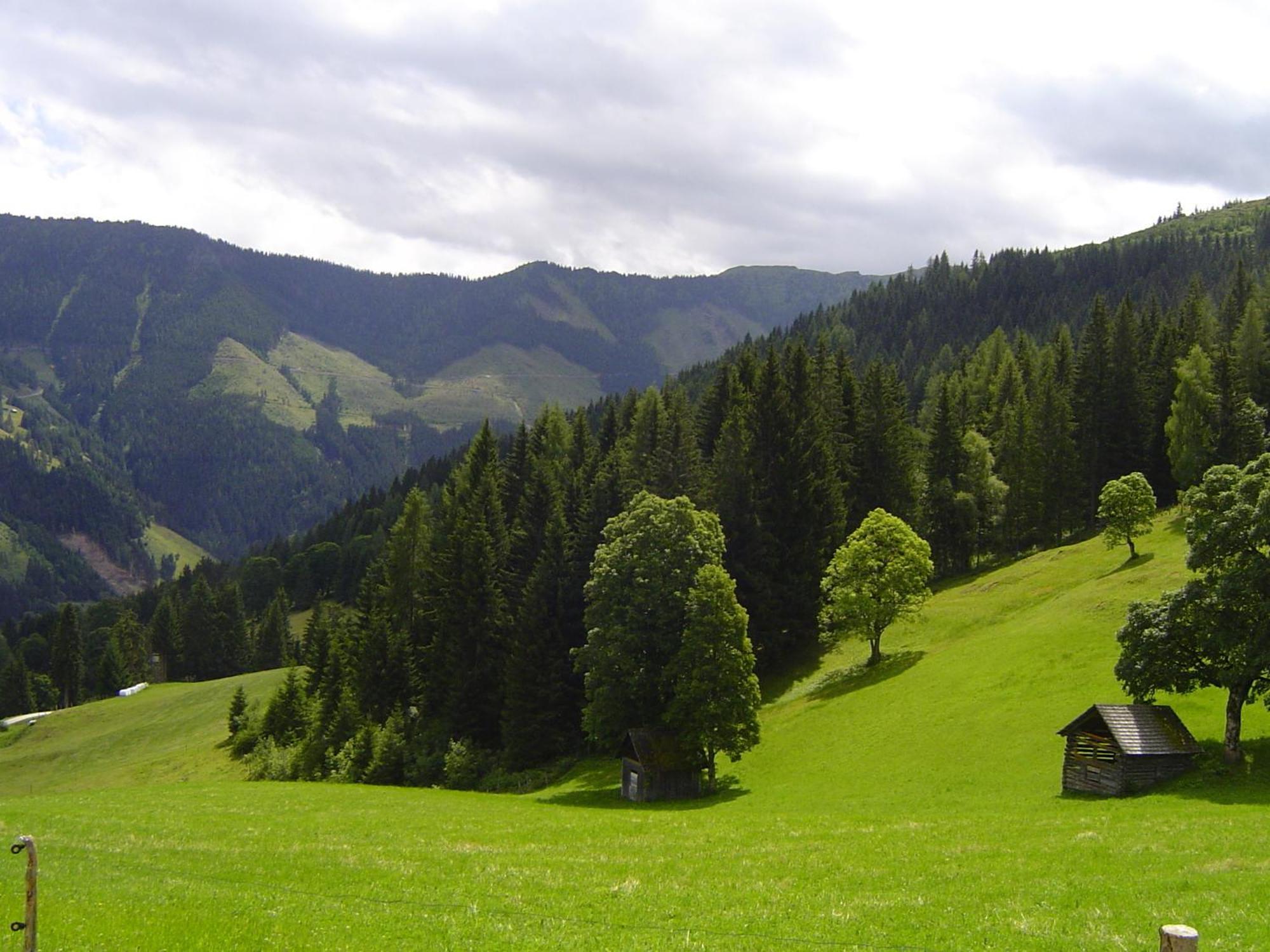 Kirchenbichlerhof Villa Pruggern Exteriör bild
